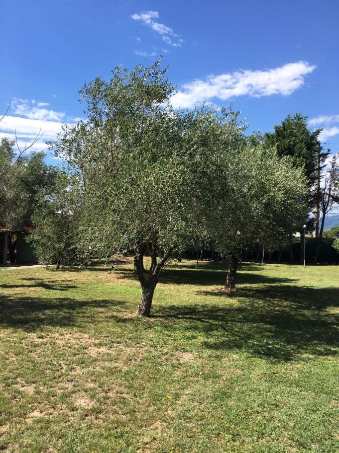 Fragolina Per Due Βίλα Λούκα Εξωτερικό φωτογραφία